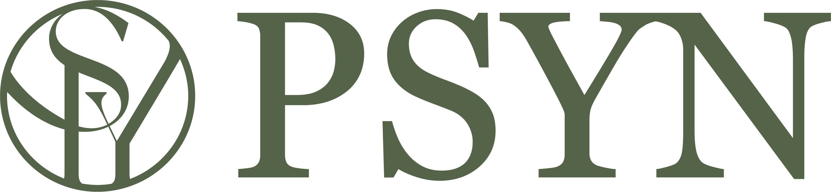 psyndrome logo